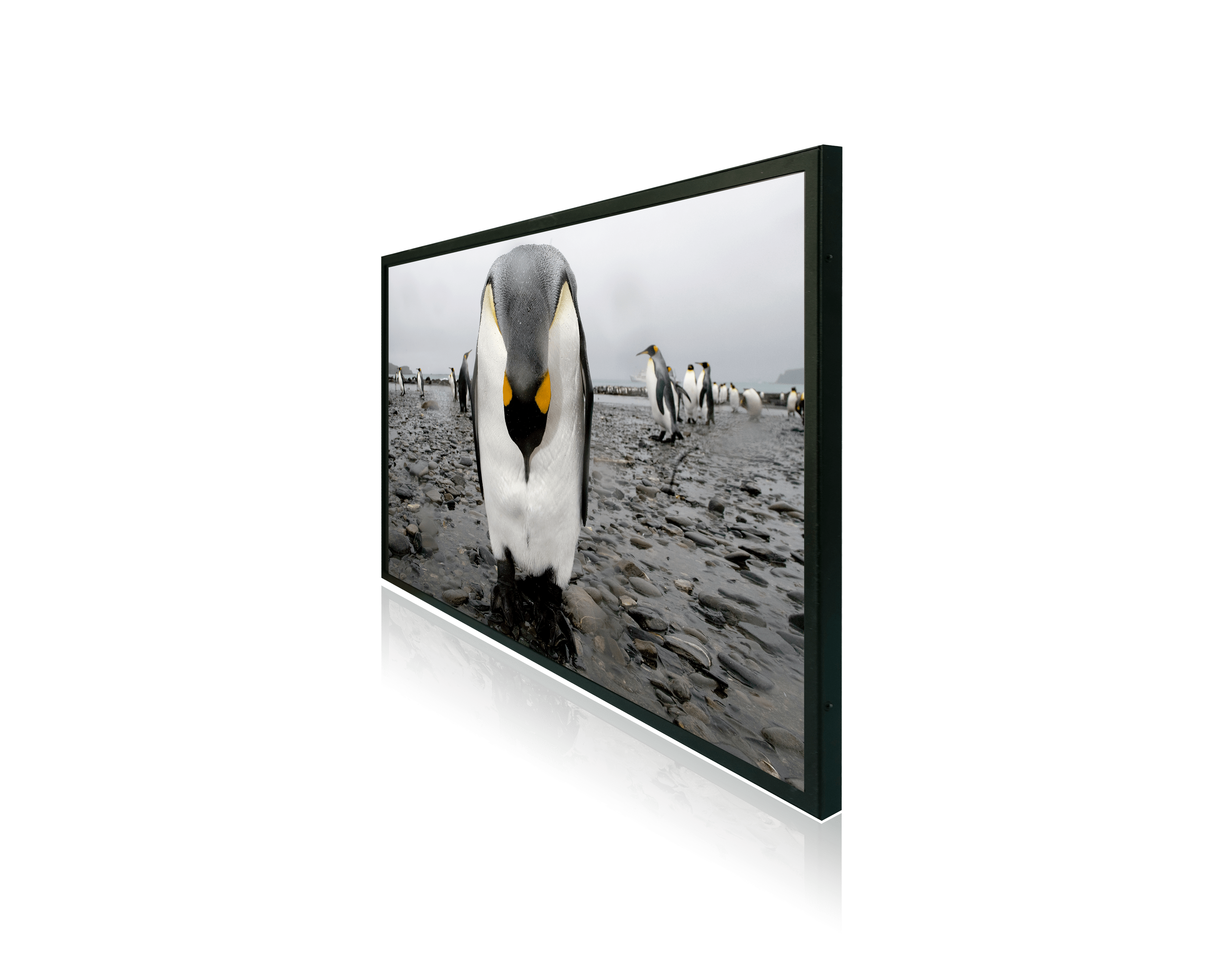 Durapixel 2706-A:  27 Inch Sunlight Readable TFT LCD