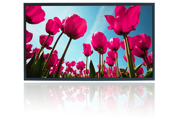 Durapixel 1825-E Industrial LCD Extra High Contrast Ratio
