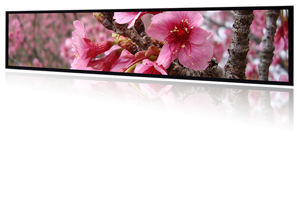 Super Wide Outdoor LCD Spanpixel 2125-A